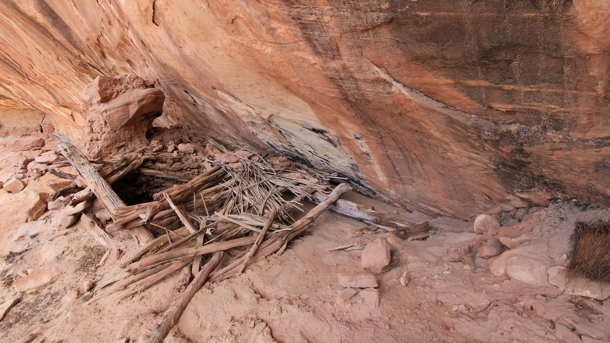 White Canyon – Natural Bridges National Monument – Utah
