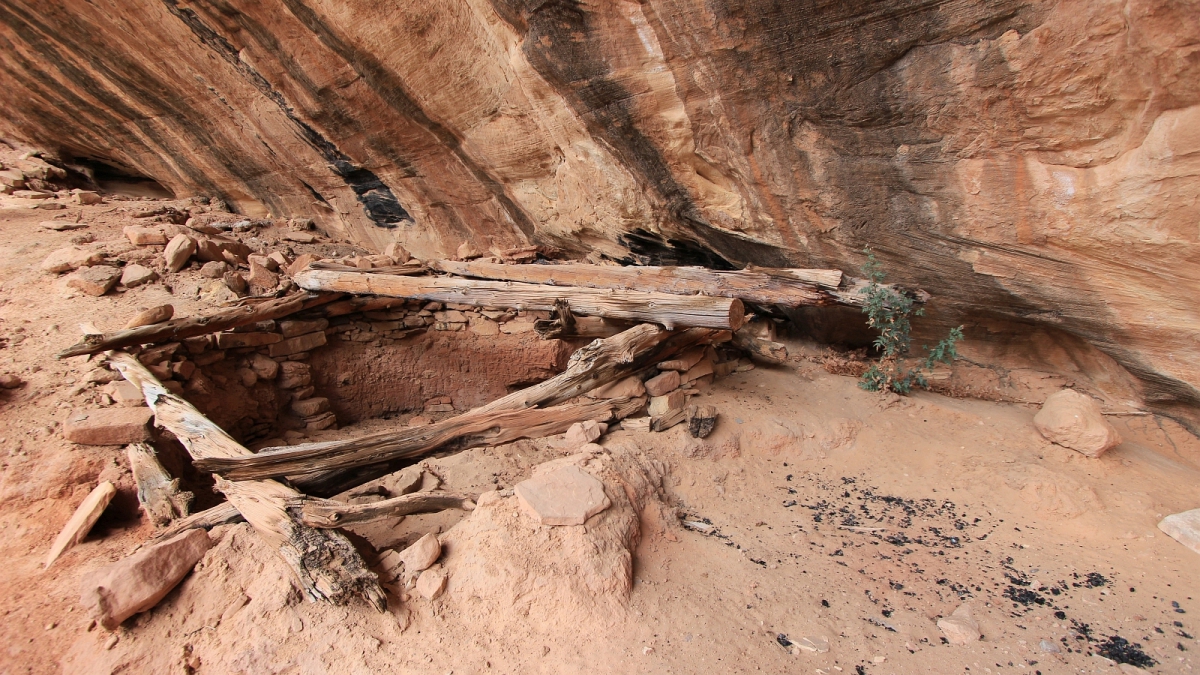 White Canyon – Natural Bridges National Monument – Utah