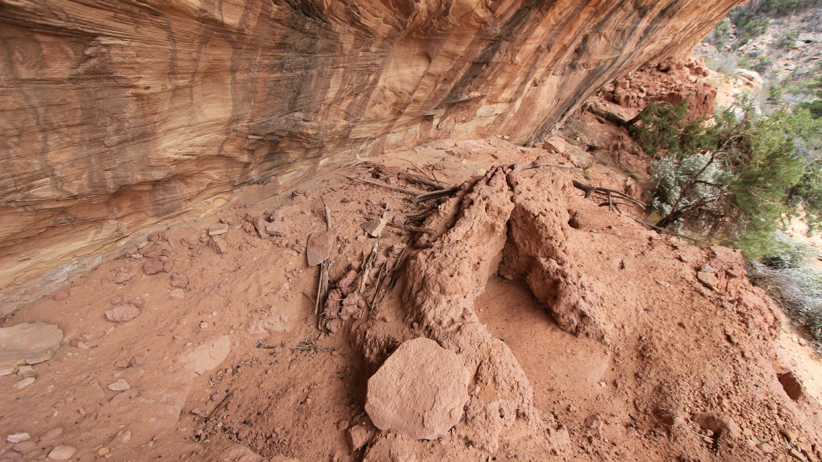 White Canyon – Natural Bridges National Monument – Utah