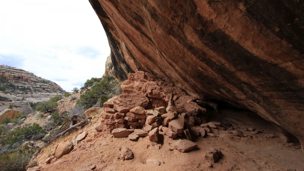 White Canyon – Natural Bridges National Monument – Utah