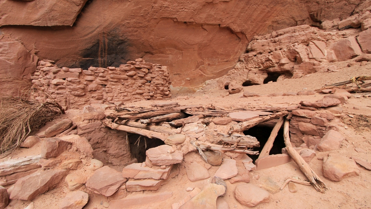 White Canyon – Natural Bridges National Monument – Utah