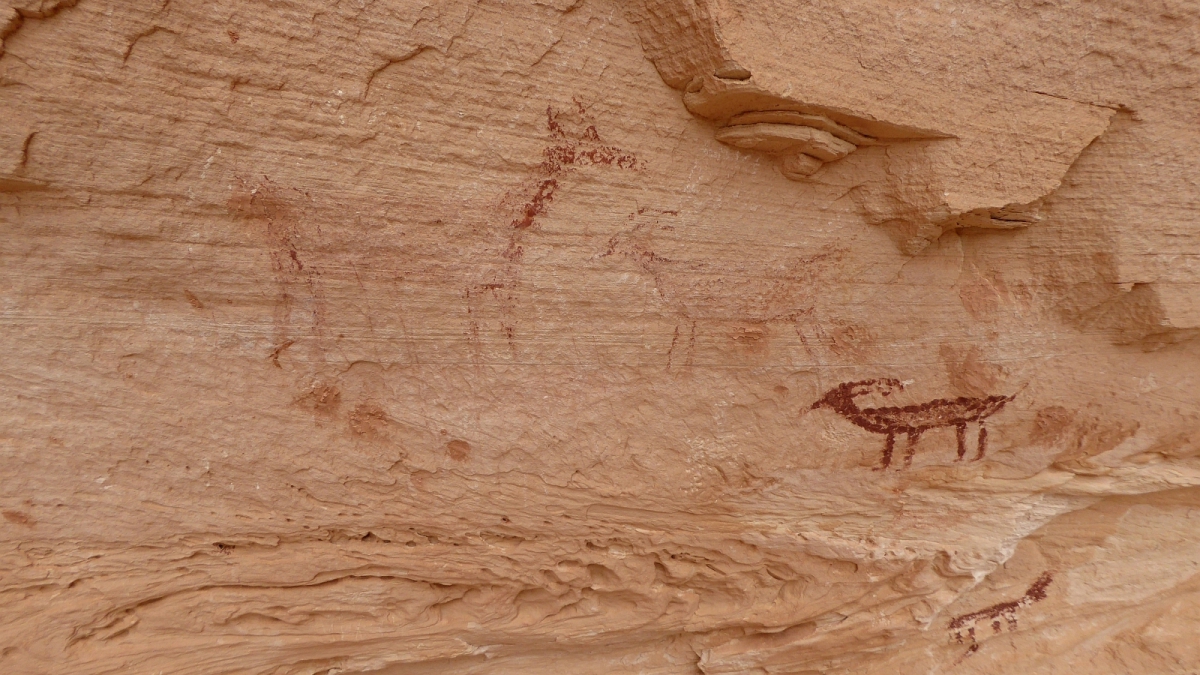 White Canyon – Natural Bridges National Monument – Utah