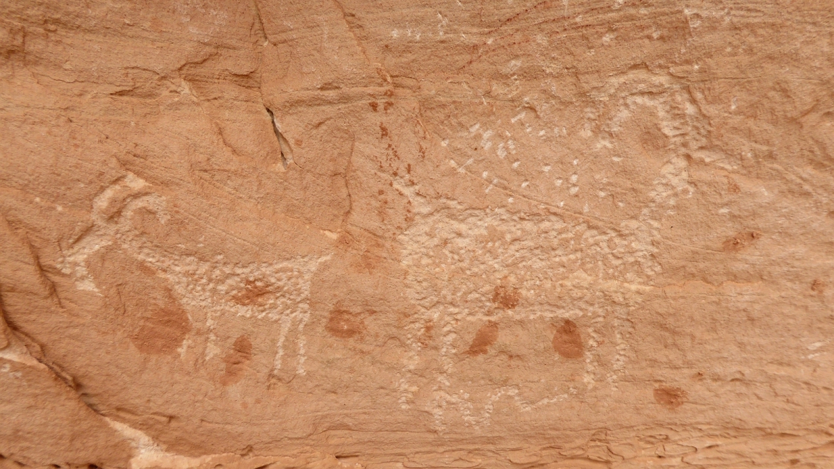 White Canyon – Natural Bridges National Monument – Utah
