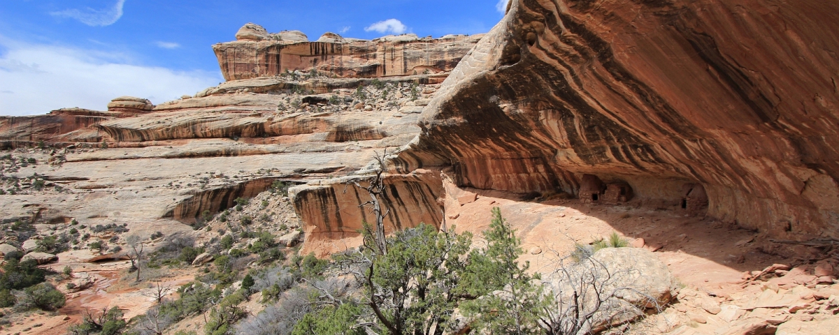 Dans White Canyon, au Natural Bridges National Monument, dans l'Utah.