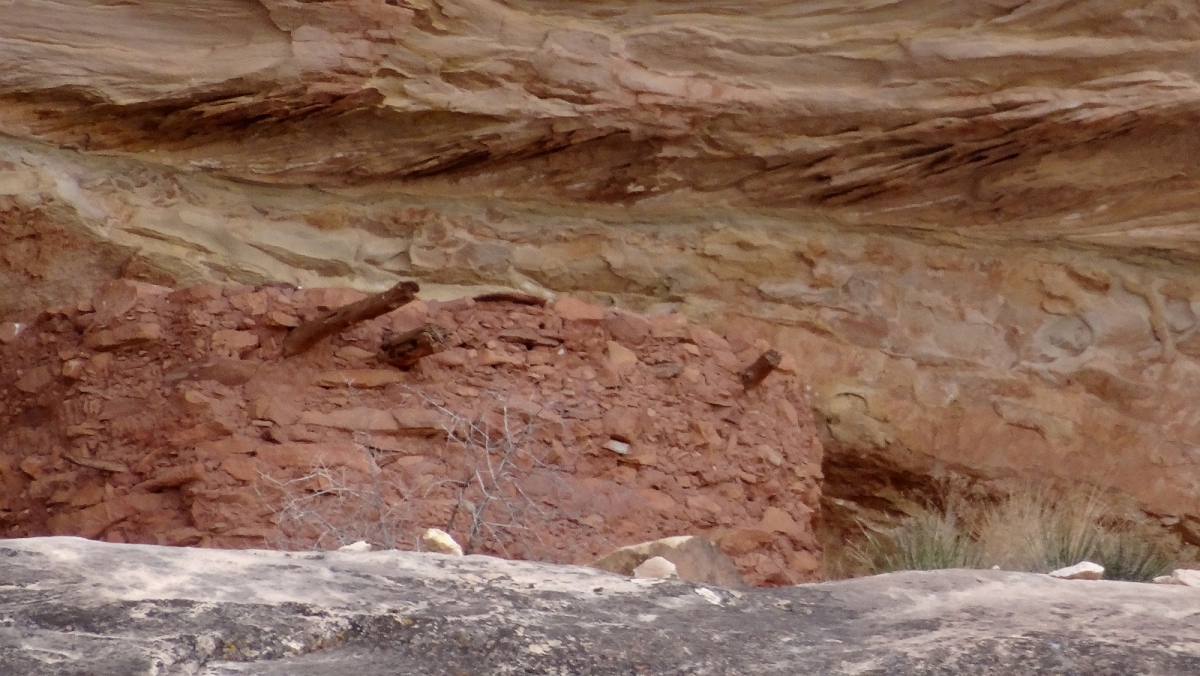 Armstrong Canyon – Natural Bridges National Monument – Utah
