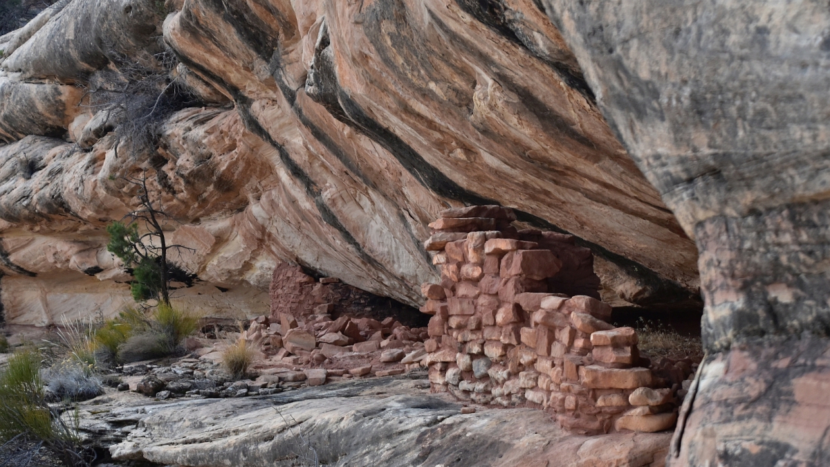 Armstrong Canyon – Natural Bridges National Monument – Utah