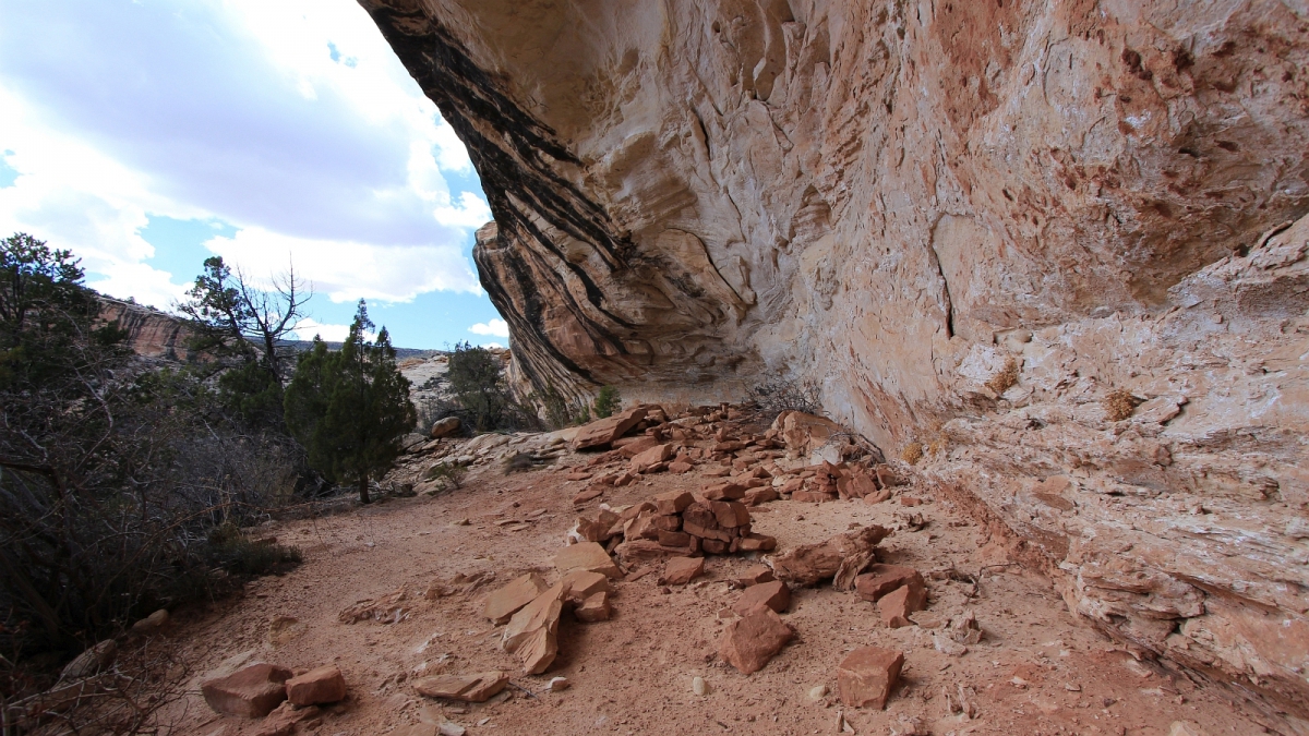 Armstrong Canyon – Natural Bridges National Monument – Utah