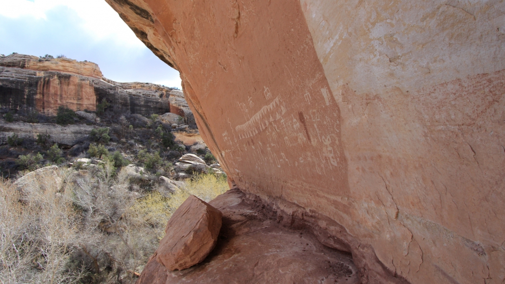 Shoe Panel - Natural Bridges National Monument - Utah