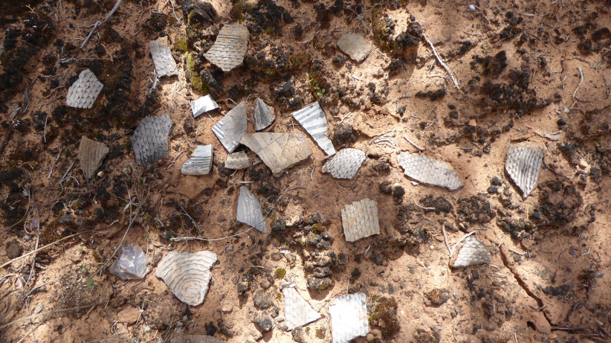 Bigfoot Ruins – Cedar Mesa – Utah