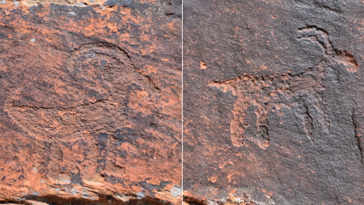Monarch Cave Canyon – Butler Wash – Cedar Mesa – Utah