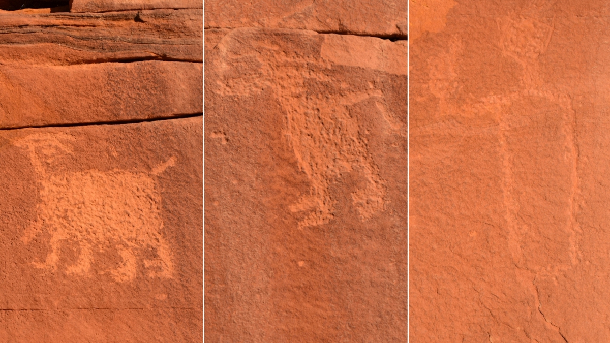 Wolfman Panel – Butler Wash – Cedar Mesa – Utah