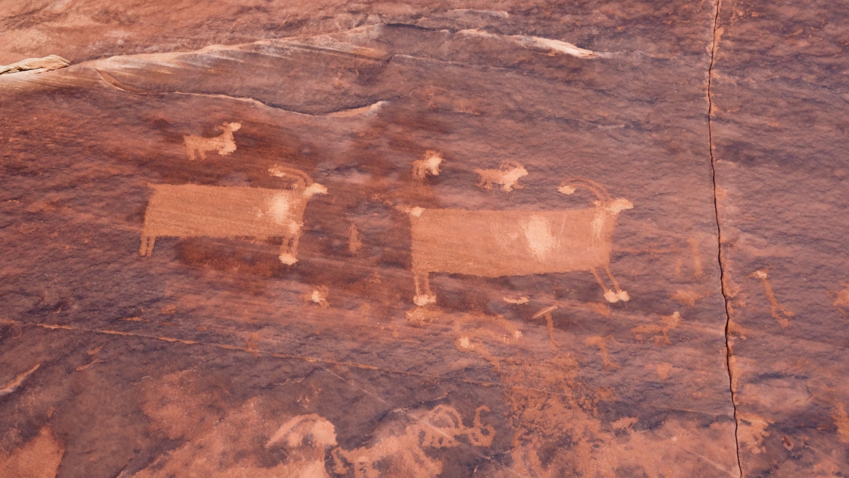 Procession Panel – Butler Wash – Cedar Mesa – Utah