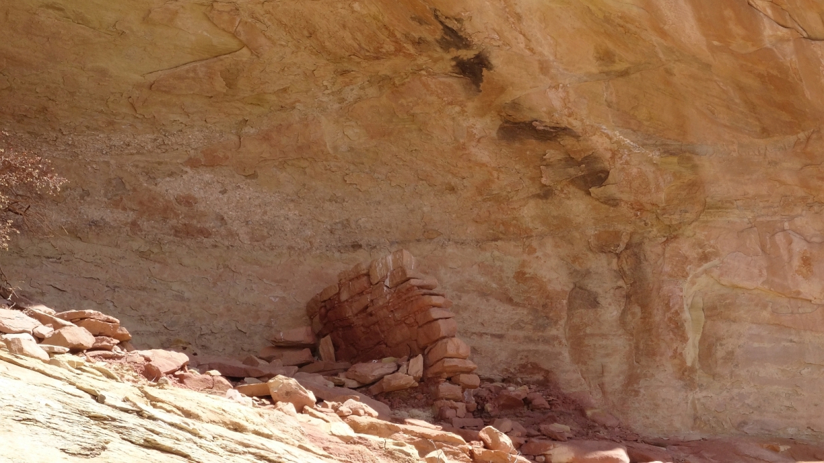 Monarch Cave Canyon – Butler Wash – Cedar Mesa – Utah