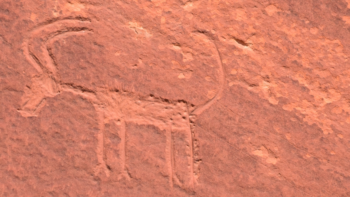 Monarch Cave Canyon – Butler Wash – Cedar Mesa – Utah