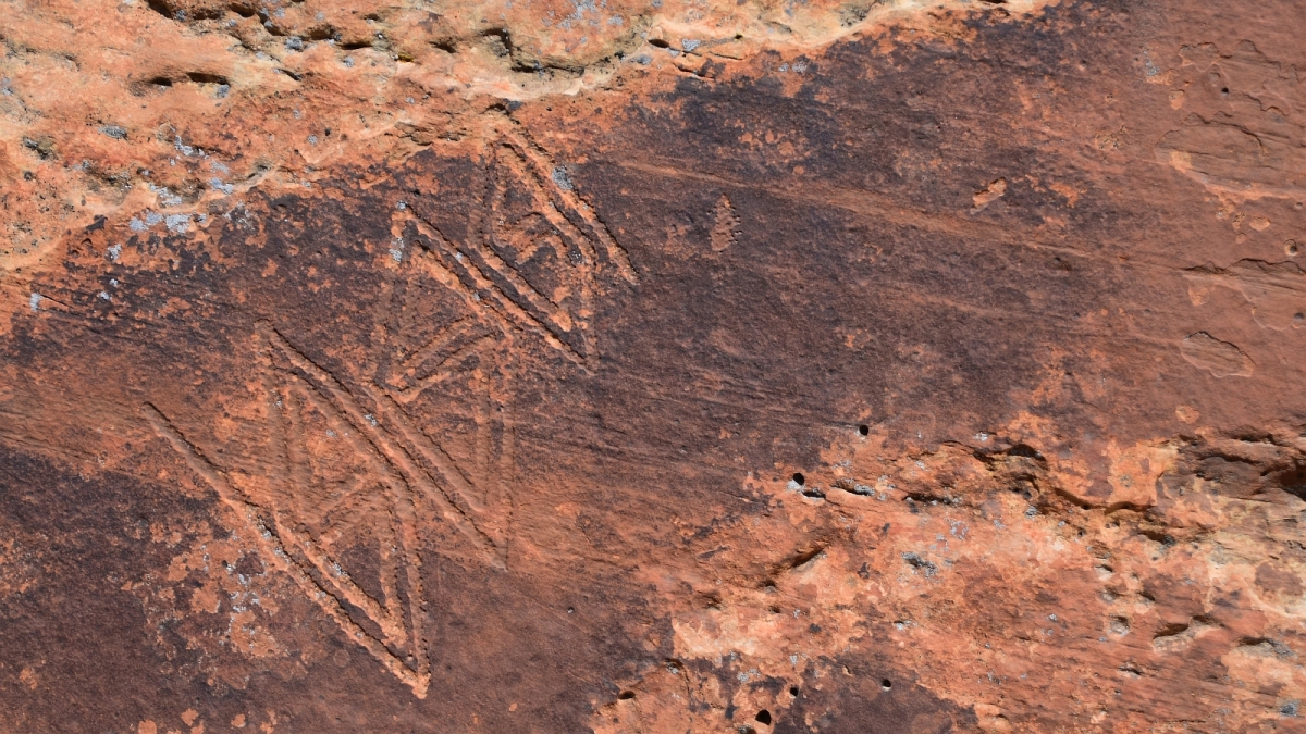 Monarch Cave Canyon – Butler Wash – Cedar Mesa – Utah