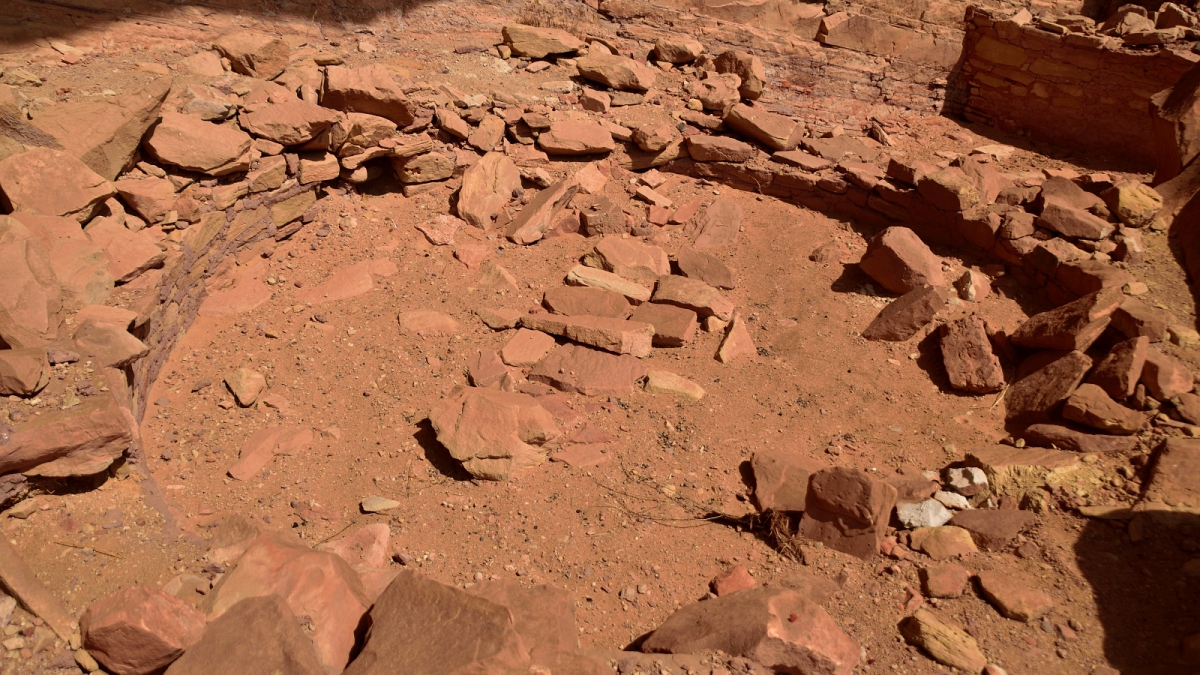 Monarch Cave Canyon – Butler Wash – Cedar Mesa – Utah