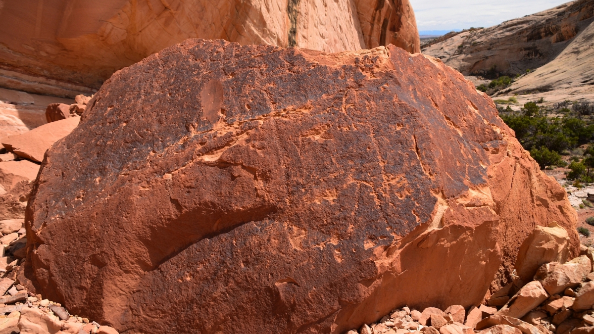 Monarch Cave Canyon – Butler Wash – Cedar Mesa – Utah