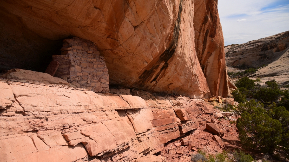 Monarch Cave Canyon – Butler Wash – Cedar Mesa – Utah