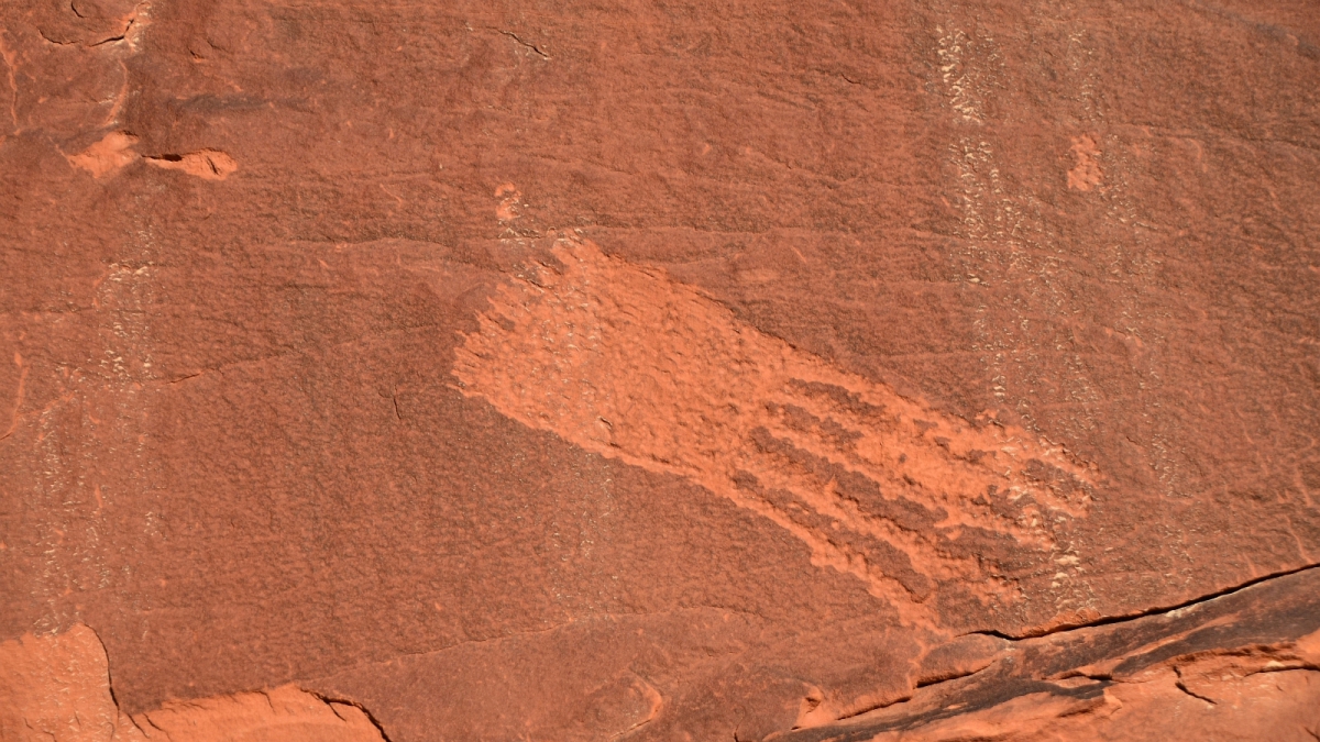 Wolfman Panel – Butler Wash – Cedar Mesa – Utah