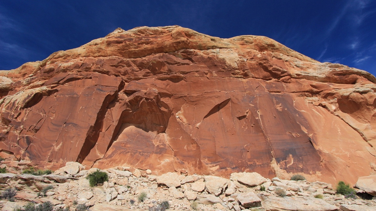 Procession Panel – Butler Wash – Cedar Mesa – Utah