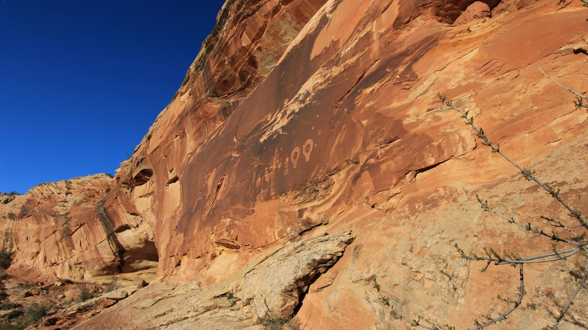 Wolfman Panel – Butler Wash – Cedar Mesa – Utah