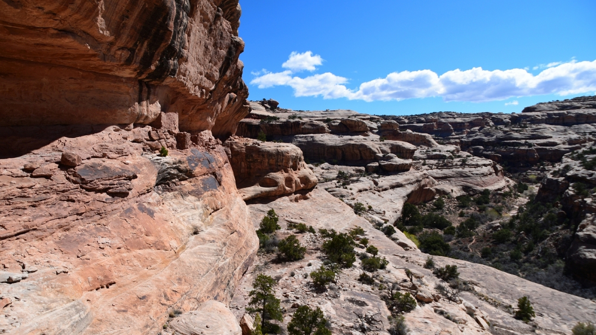 Polly&rsquo;s Canyon – Cedar Mesa – Utah
