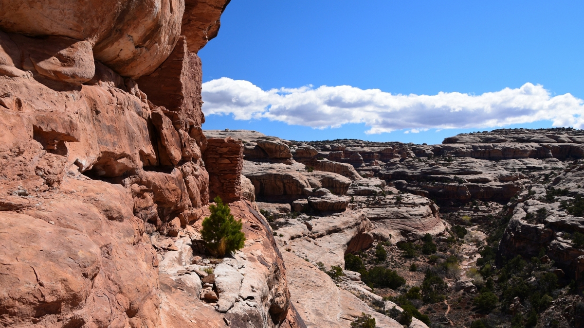 Polly’s Canyon – Cedar Mesa – Utah