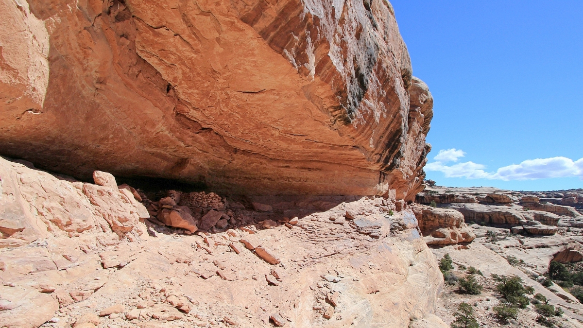Polly’s Canyon – Cedar Mesa – Utah