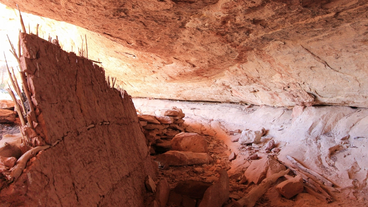 Polly’s Canyon – Cedar Mesa – Utah