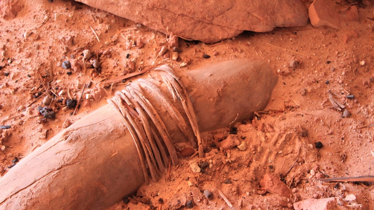 Polly’s Canyon – Cedar Mesa – Utah