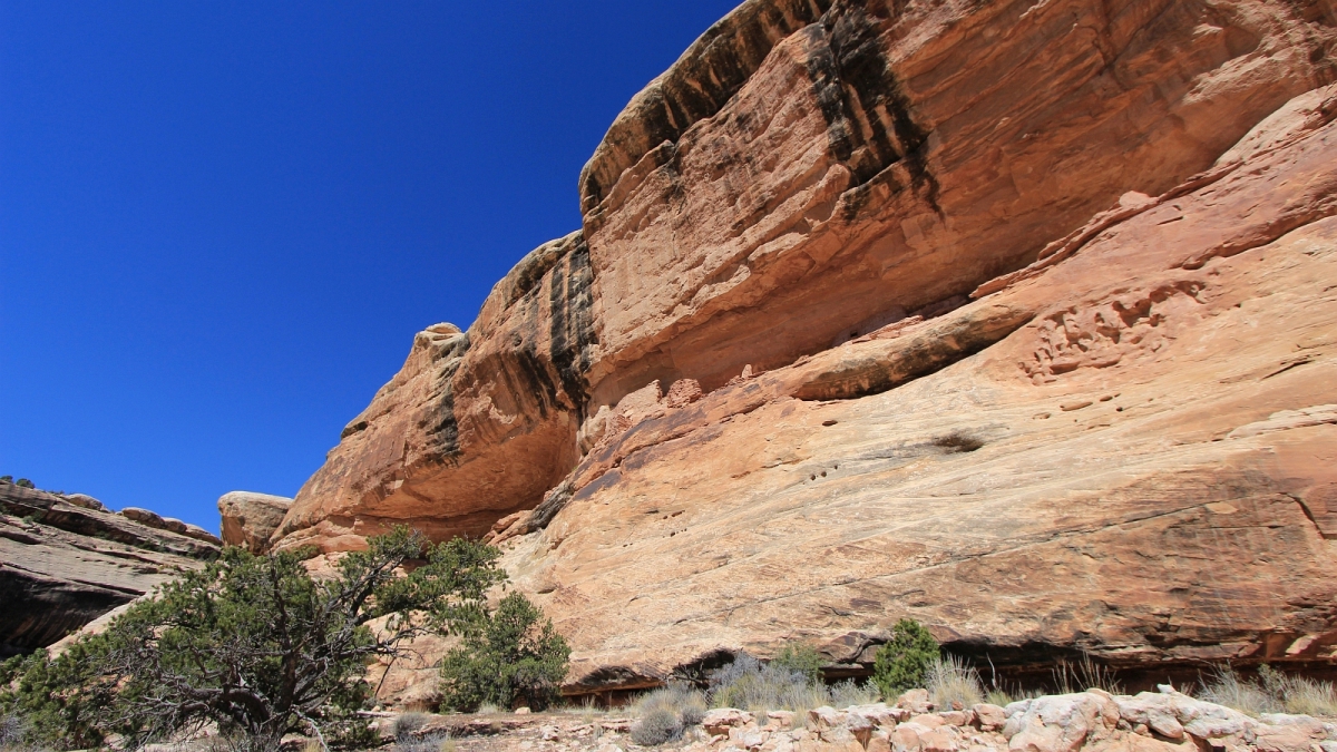 Polly’s Canyon – Cedar Mesa – Utah