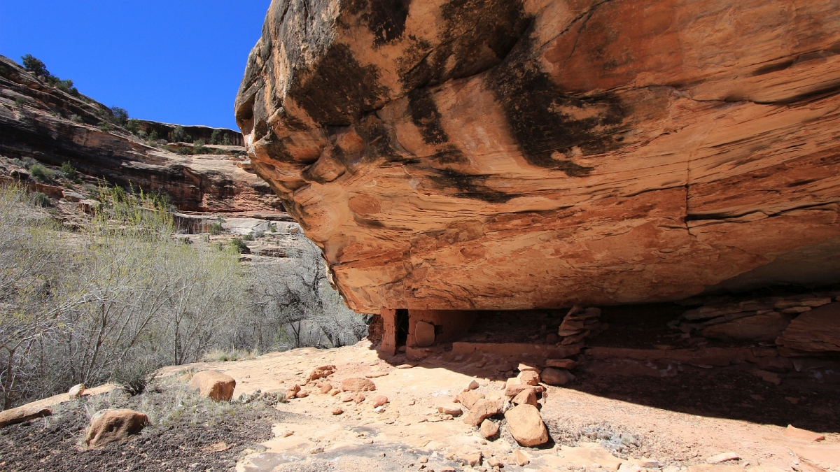 Polly&rsquo;s Canyon – Cedar Mesa – Utah