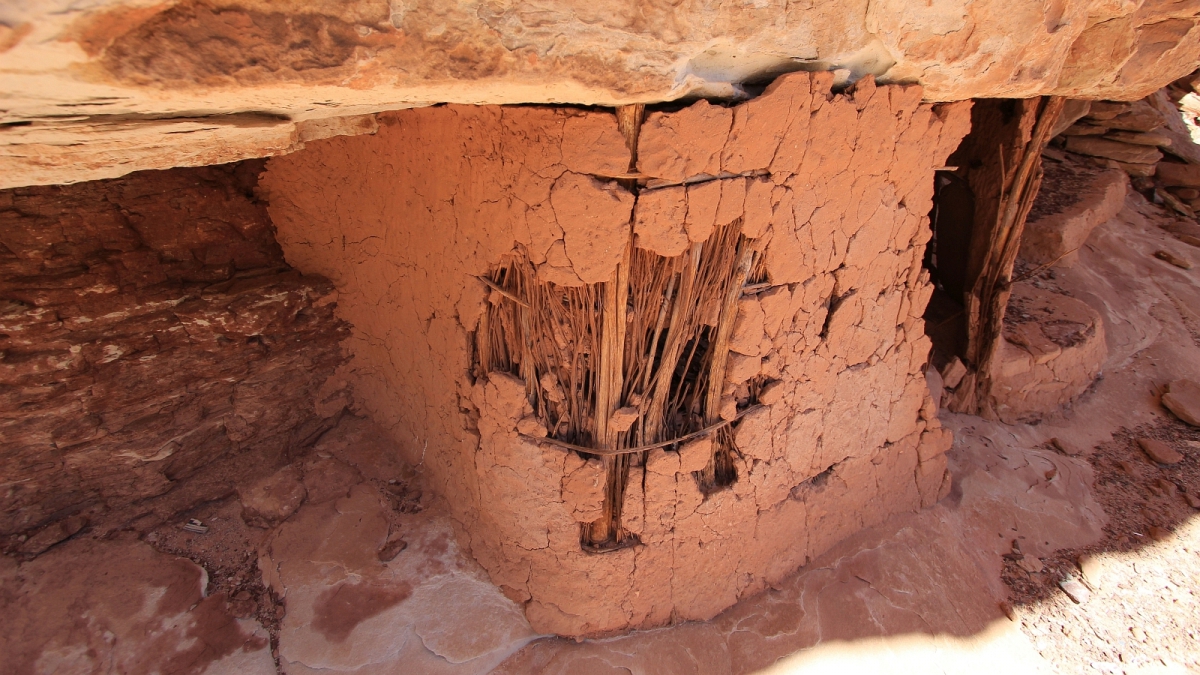 Polly’s Canyon – Cedar Mesa – Utah