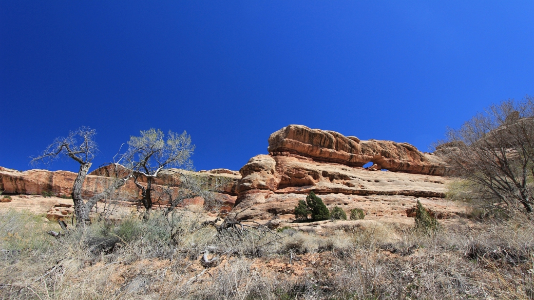 Polly Canyon - Cedar Mesa - Utah