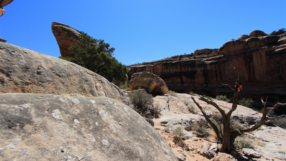 Big Man Panel – Grand Gulch – Cedar Mesa – Utah