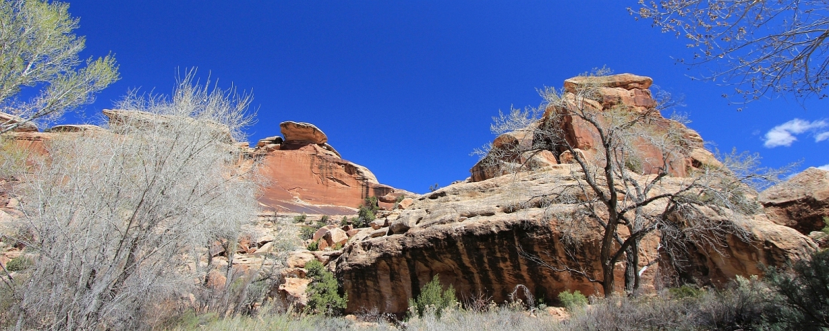 Polly's Canyon, près du Grand Gulch, dans l'Utah.