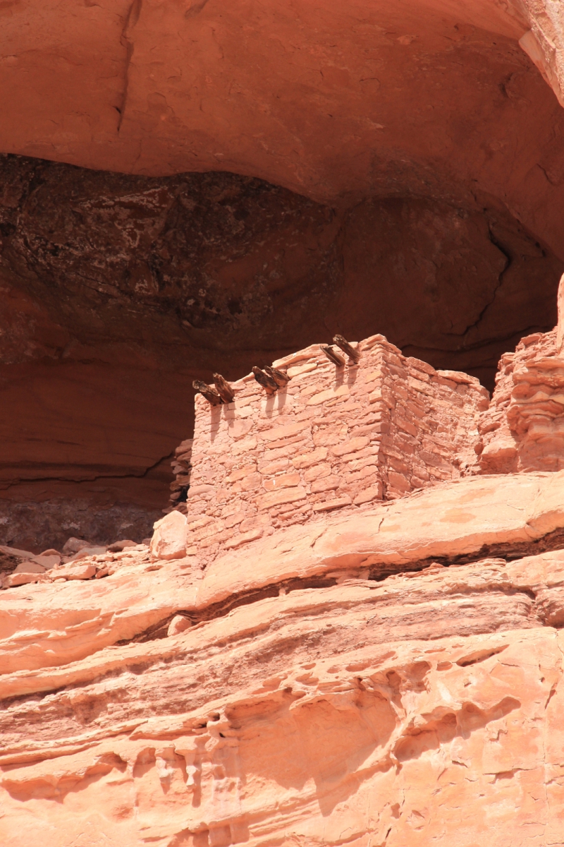 Tower Ruins – Canyonlands National Park – Utah