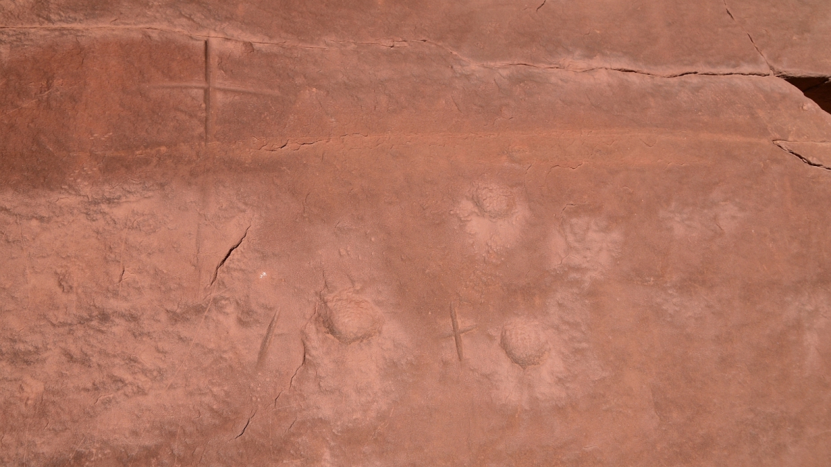 Polly’s Island – Grand Gulch – Cedar Mesa – Utah