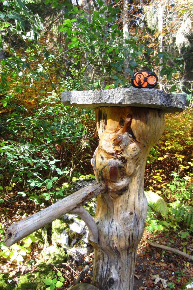 Fontaine Valier – Saint-George – Vaud – Suisse