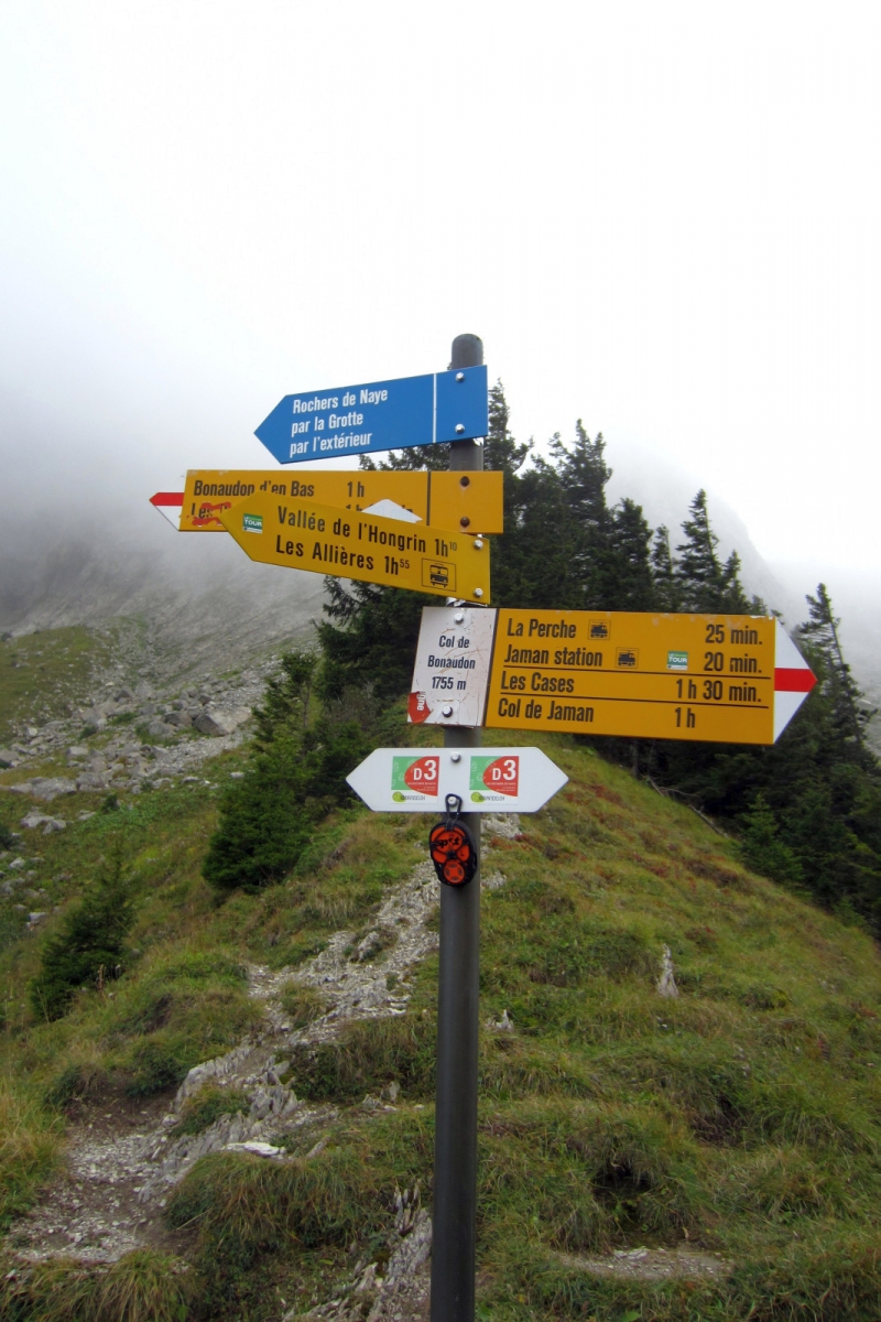 Col de Bonaudon – Vaud – Suisse