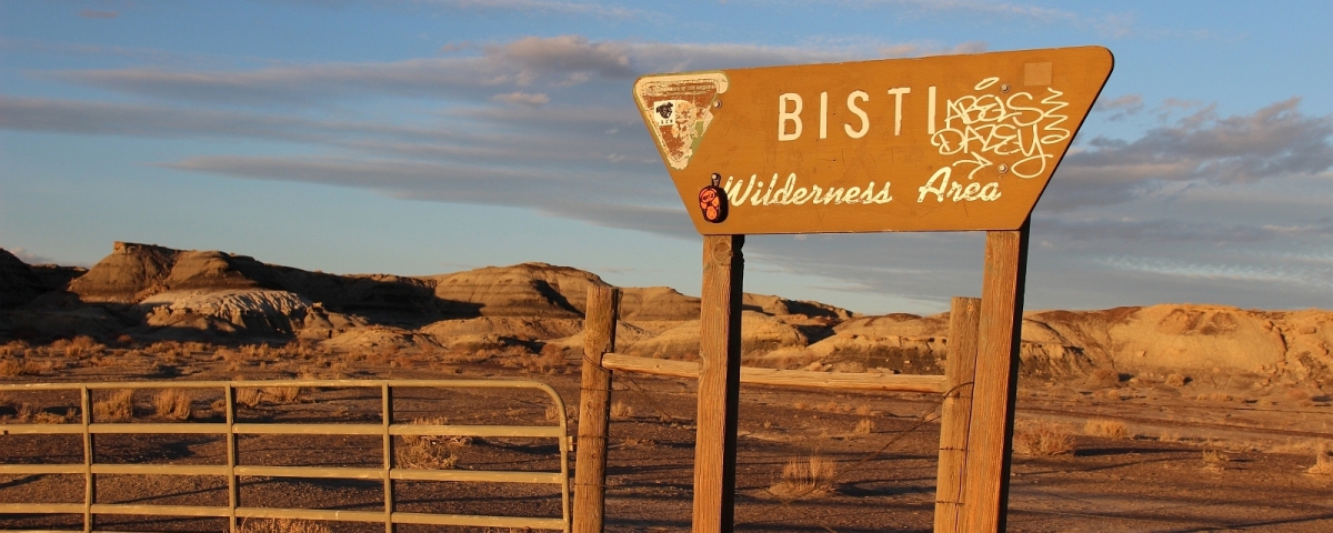 Bisti Wilderness Study Area