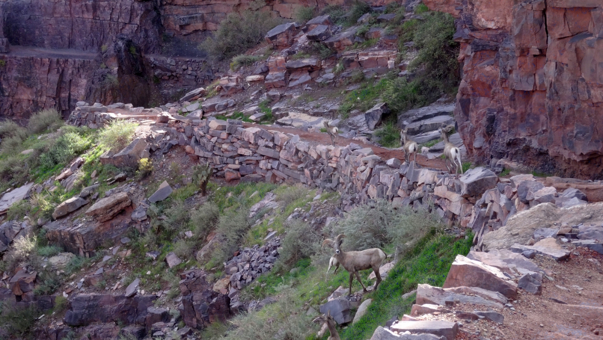 South Kaibab Trail – Grand Canyon National Park – Arizona