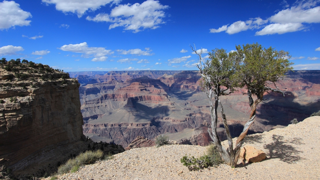 Vue sur le Grand Canyon depuis Pima Point sur le Rim Trail, au Grand Canyon, dans l'Arizona.