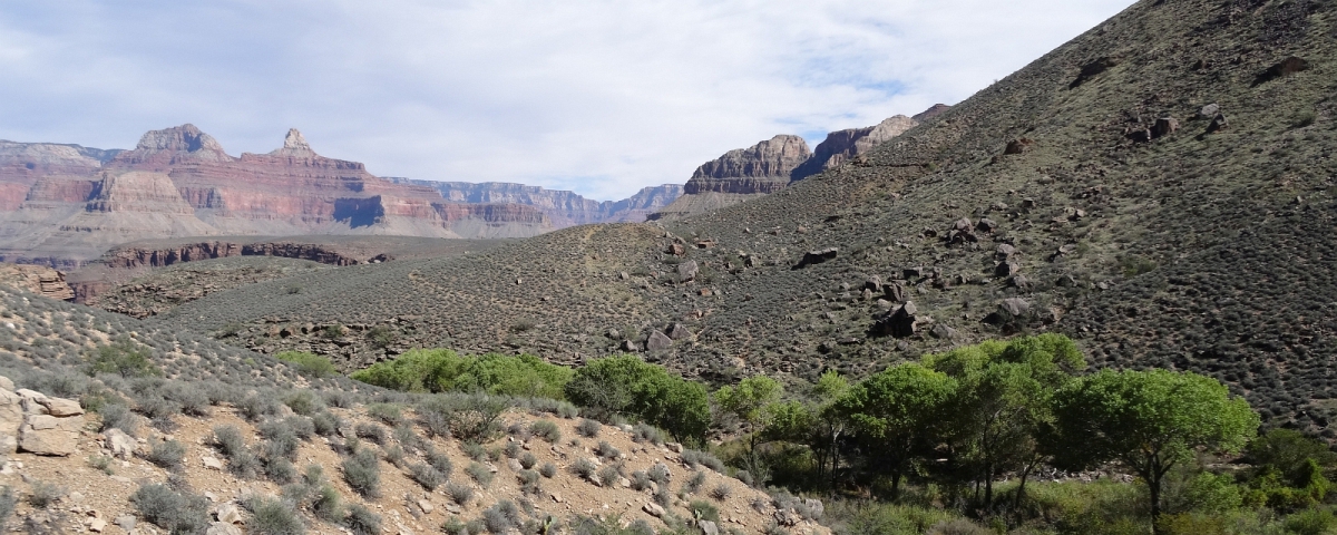 Plateau Point