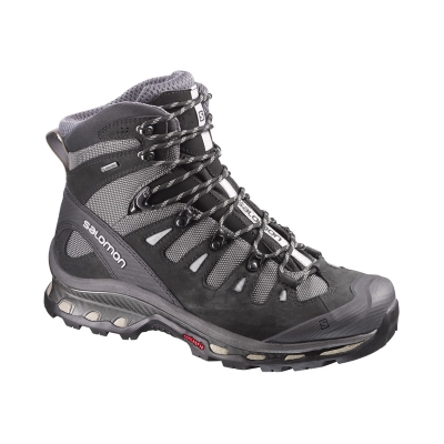 Salomon Quest 4D 2 GTX