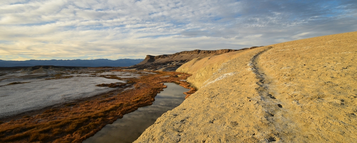 Salt Creek