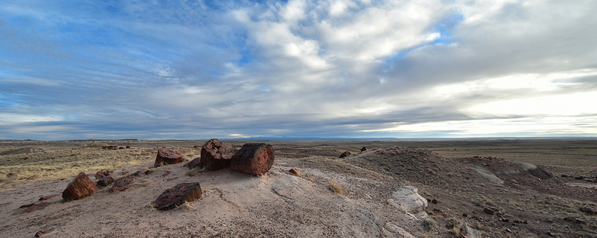 Petrified Forest National Park