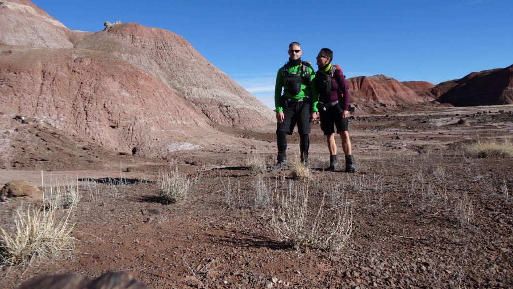 Painted Desert Wilderness Area - Petrified Forest National Park - Arizona