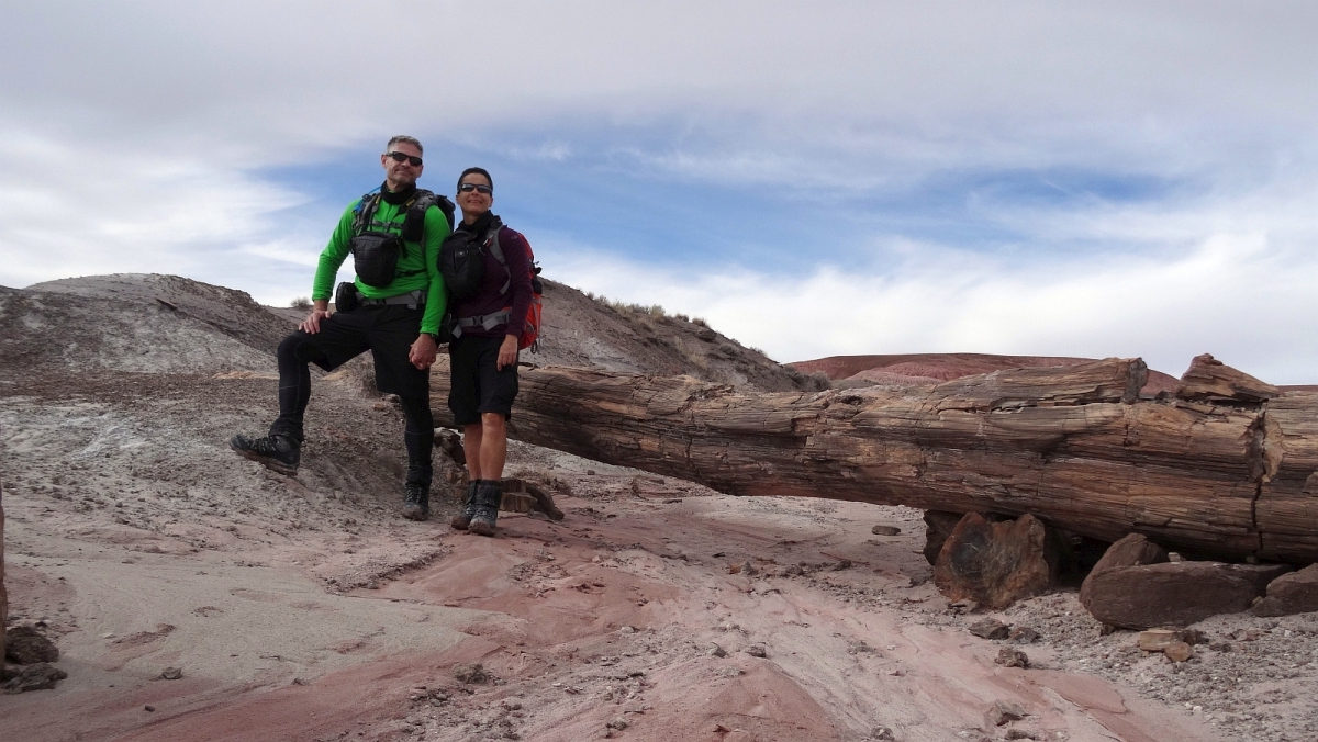 Onyx Bridge – Petrified Forest National Park – Arizona