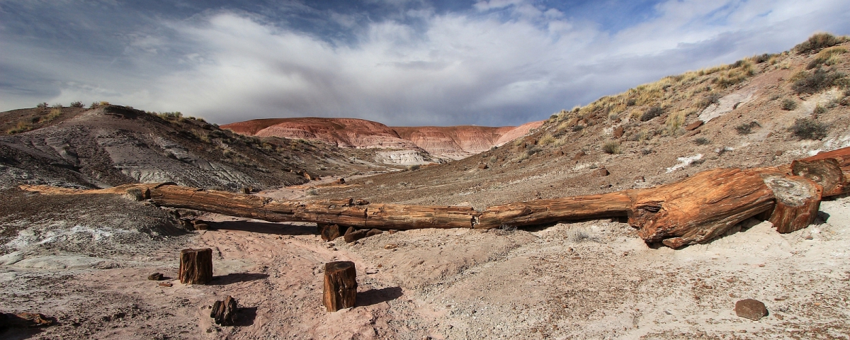 Onyx Bridge - Petrified Forest National Park - Arizona